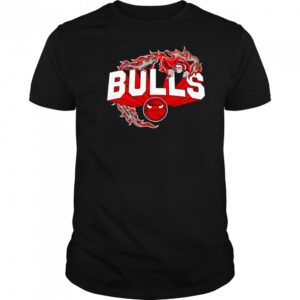 Flaming Grim Reaper Chicago Bulls logo shirt
