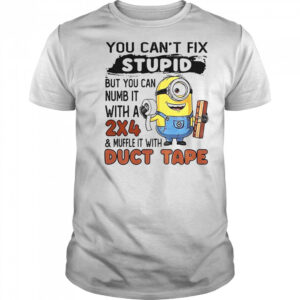 Minion You Can’t Fix Stupid But You Can Numb It With A 2×4 T-Shirt